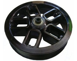 Диск 10&Prime; (17010)-foto2