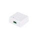 Розетка RJ45 (сетевая), 2-портовая UTP, Atcom, белая, накладная, кат. 6e (60252)