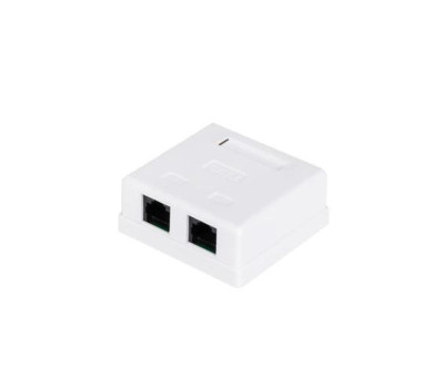 Розетка RJ45 (сетевая), 2-портовая UTP, Atcom, белая, накладная, кат. 6e (60252)