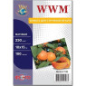 Фотобумага WWM, матовая, A6 (10х15), 230 г/ м?, 100 л (M230.F100)