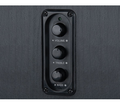 Колонки 2.0 REAL-EL S-250 Black, 2 x 10 Вт, МДФ, живлення від мережі 220V, керування збоку (S-250) Колонки 2.0 REAL-EL S-250 Black, 2 x 10 Вт, МДФ, живлення від мережі 220V, керування збоку (S-250)