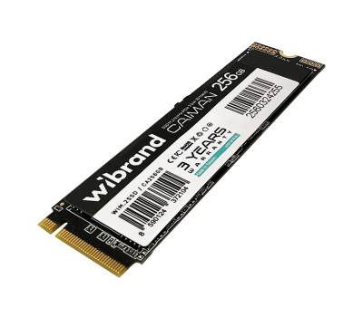Твердотельный накопитель M.2 256Gb, Wibrand Caiman, (WIM.2SSD/ CA256GB) Твердотельный накопитель M.2 256Gb, Wibrand Caiman, (WIM.2SSD/ CA256GB)