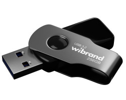 Флеш накопичувач USB 256Gb Wibrand Lizard, Grey, USB 3.2 Gen 1 (WI3.2/ LI256P9B)-foto2