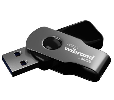 Флеш накопичувач USB 256Gb Wibrand Lizard, Grey, USB 3.2 Gen 1 (WI3.2/ LI256P9B)