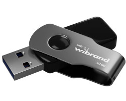 Флеш накопичувач USB 512Gb Wibrand Lizard, Grey, USB 3.2 Gen 1 (WI3.2/ LI512P9B)