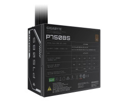 Блок живлення 750 Вт, Gigabyte P750BS, Black, 80+ Bronze, (GP-P750BS)-foto2
