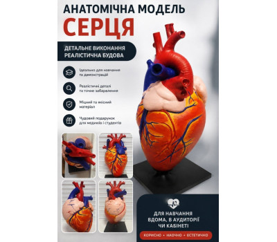 Анатомічна модель серця, 3D друк