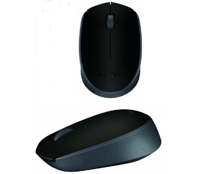 Мышь Logitech M171 Wireless Grey/ Black (910-004424) Мышь Logitech M171 Wireless Grey/ Black (910-004424)