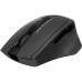Мышь A4Tech Fstyler FG30S 2000dpi Black+Grey, USB, Wireless, бесшумная (FG30S Grey)